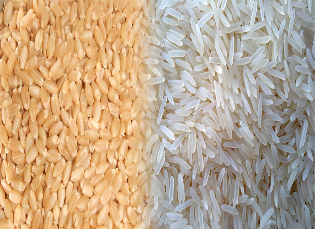 Мировое производство риса достигнет рекорда за 2023-2024 годы