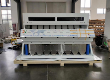 Two Color Sorters Shipped to Middle East to Support Local Food Processing Industry