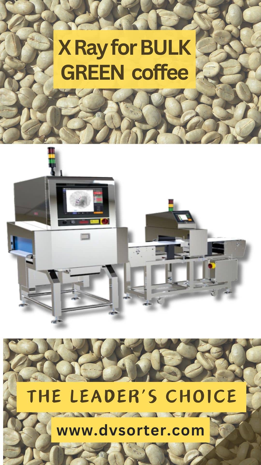 Bulk Green Coffee Sorting by X-ray Detector