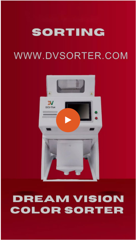 Millet Sorting Video