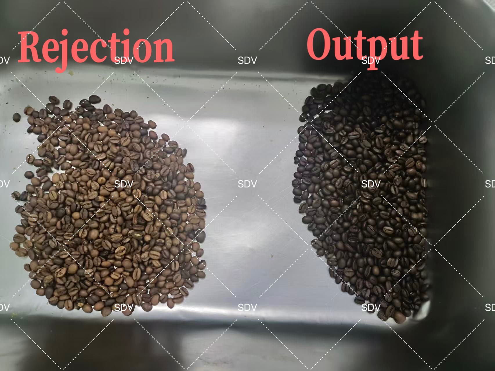 Deepening Trust, Writing a New Chapter: SDV’s 2T Roasted Coffee Bean Color Sorter Wins Repeat Order from Valued Client